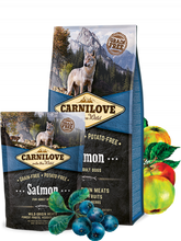 Carnilove Aliment Sec Chien Saumon Adult Dogs